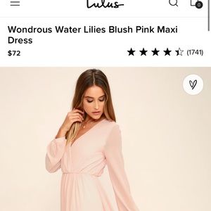 Never been worn wondrous water lilies dress in blush pink. Size XS